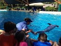 Kids_SeaWorldSA-2013 (15)